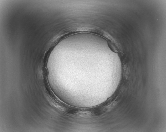 X0000062800203200601051120