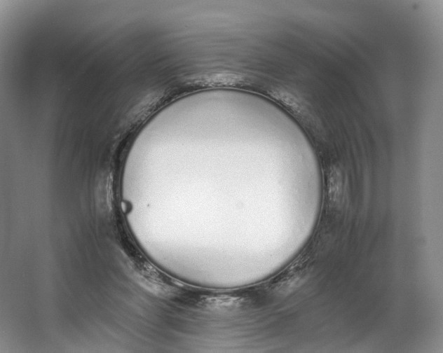 X0000062800206200601051120