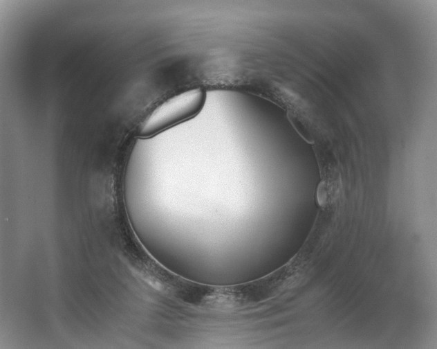 X0000062800211200601051120