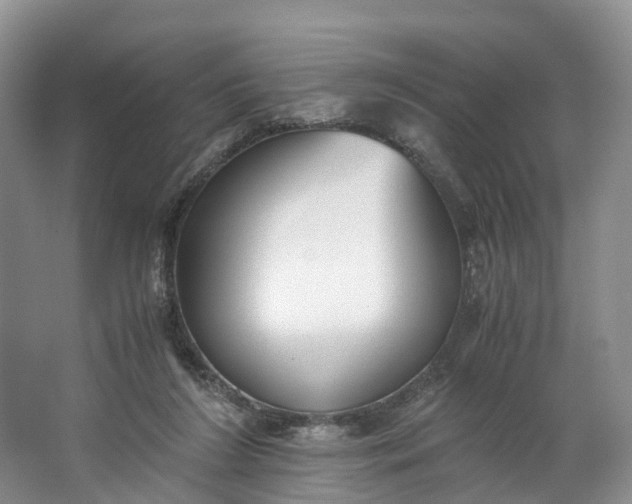 X0000062800212200601051120