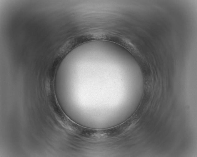 X0000062800213200601051120