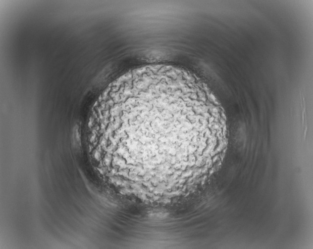 X0000062800214200601051120