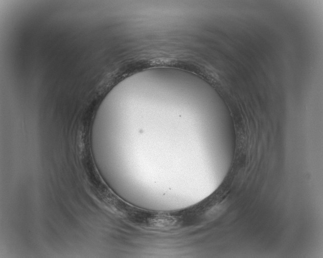X0000062800215200601051120