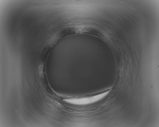 X0000062800219200601051120