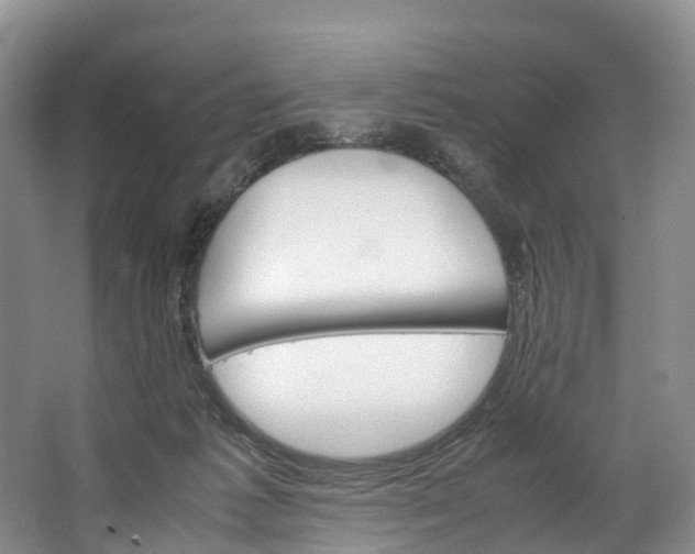 X0000062800221200601051120