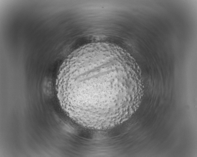 X0000062800222200601051120