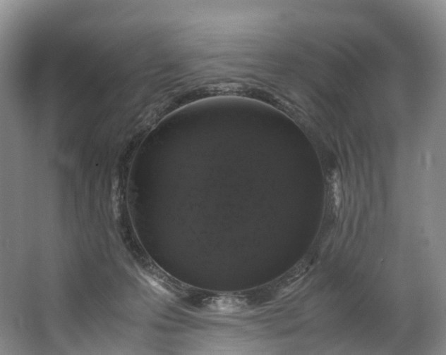 X0000062800223200601051120