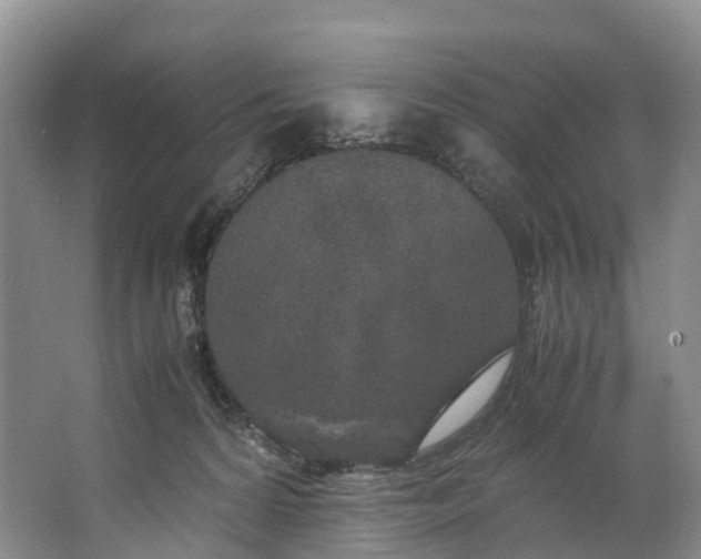 X0000062800224200601051120