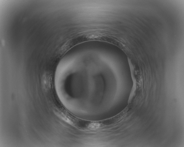 X0000062800227200601051120