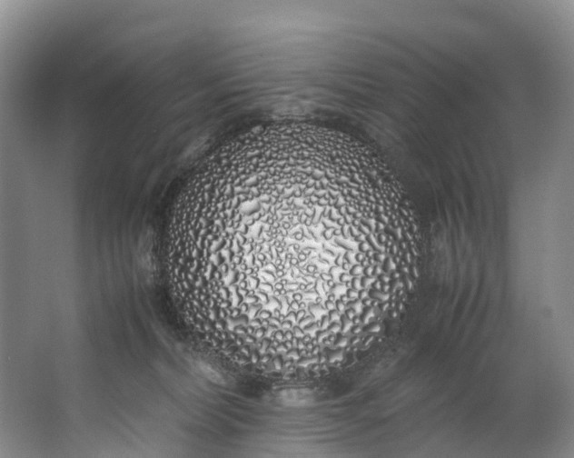 X0000062800228200601051120