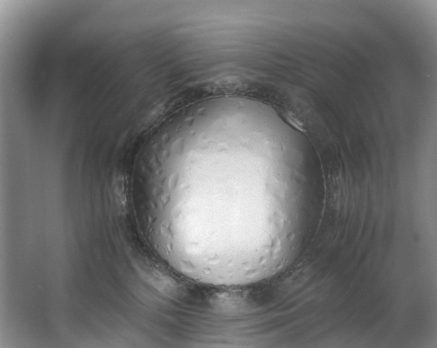 X0000062800232200601051120