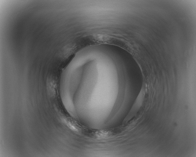 X0000062800235200601051120