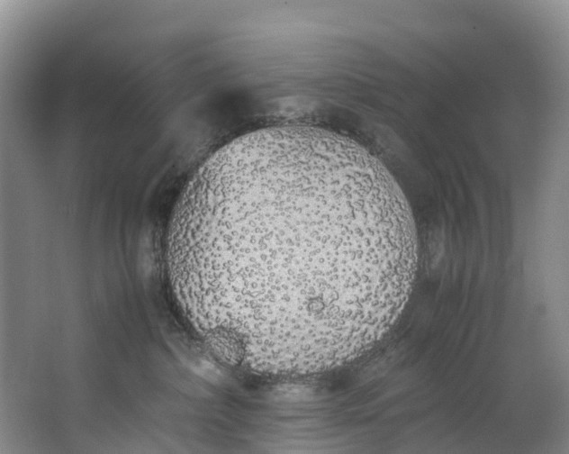 X0000062800236200601051120