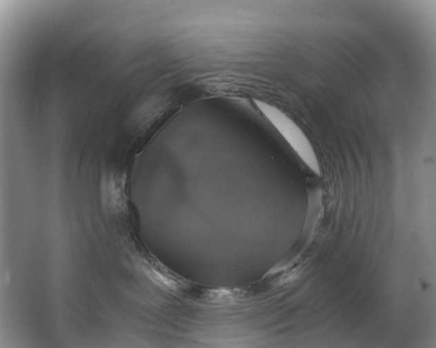 X0000062800239200601051120
