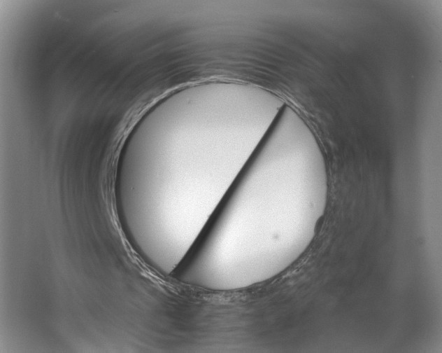 X0000062800241200601051119