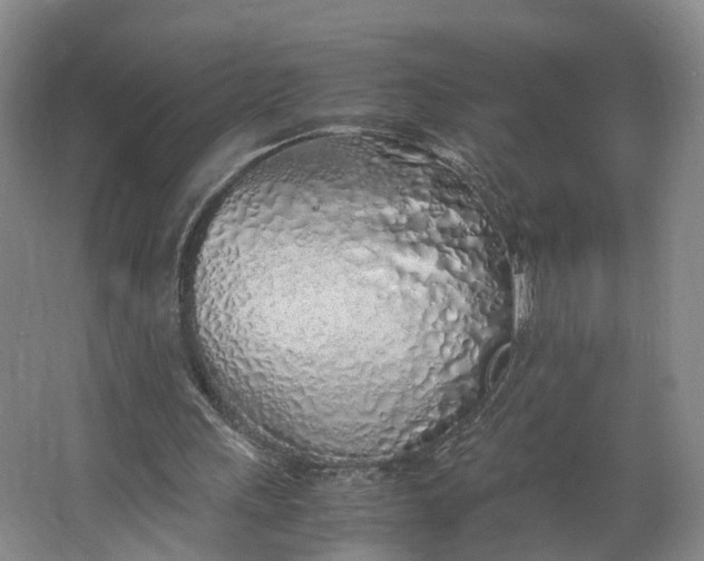 X0000062800243200601051119