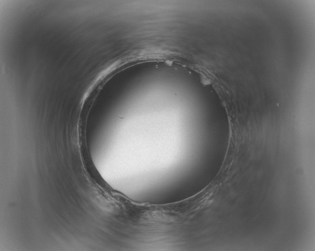 X0000062800244200601051119