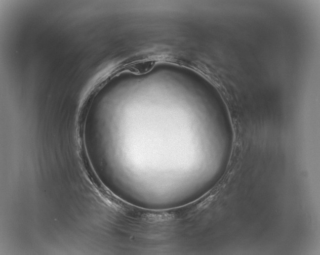 X0000062800245200601051119