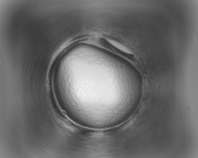 X0000062800246200601051119