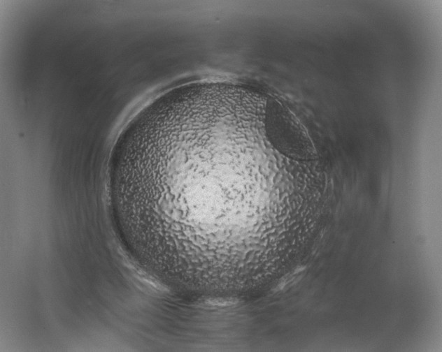 X0000062800247200601051119