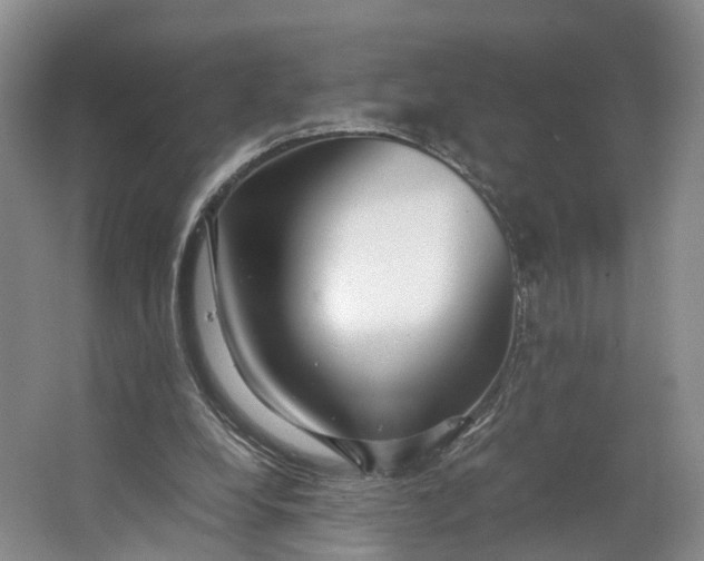 X0000062800248200601051119