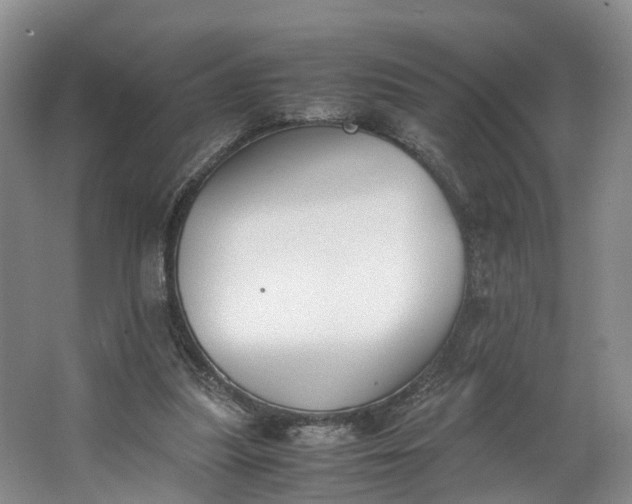 X0000062800251200601051119