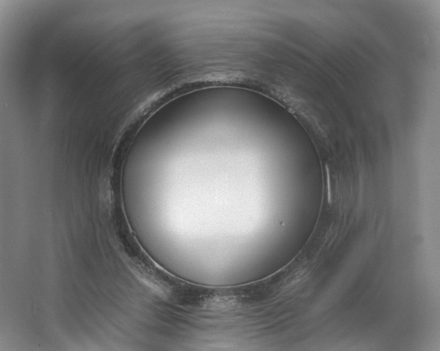 X0000062800252200601051119