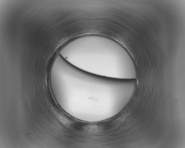 X0000062800253200601051119