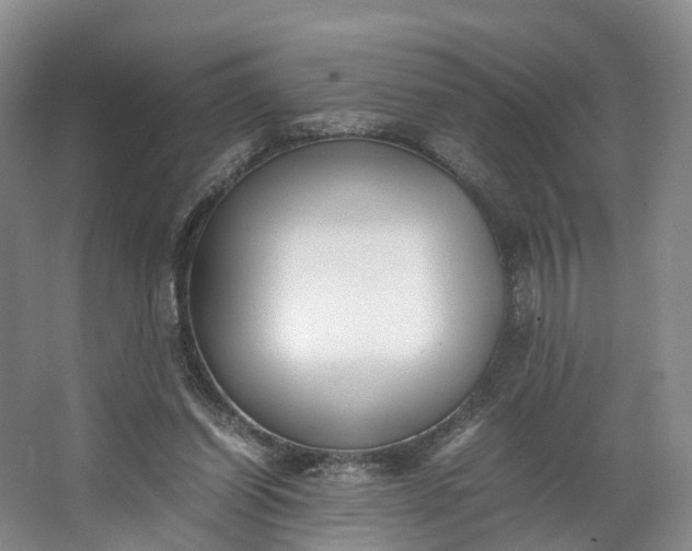 X0000062800254200601051119