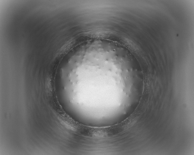 X0000062800258200601051119
