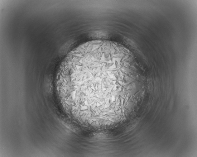 X0000062800259200601051119
