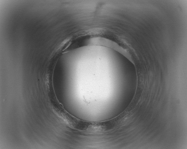 X0000062800260200601051119