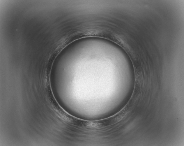 X0000062800261200601051119