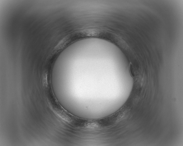 X0000062800262200601051119