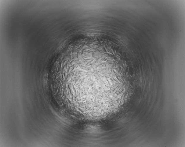 X0000062800263200601051119
