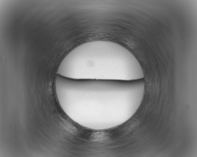X0000062800269200601051119