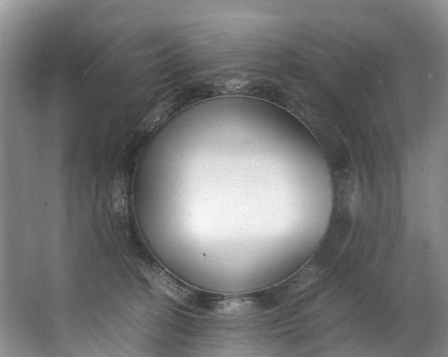 X0000062800274200601051119