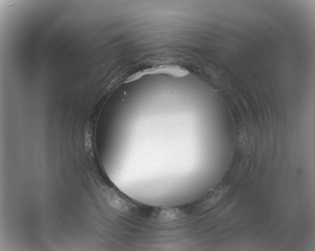 X0000062800282200601051120