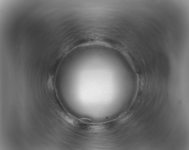 X0000062800286200601051120
