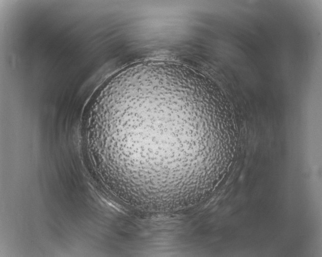 X0000062800290200601051119