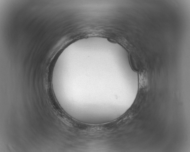X0000062800291200601051119