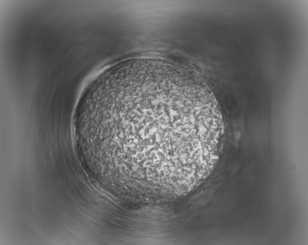 X0000062800294200601051119