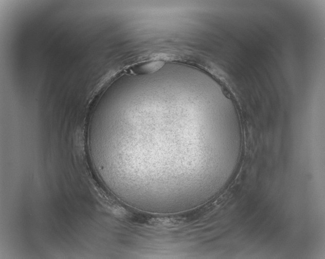 X0000062800297200601051119