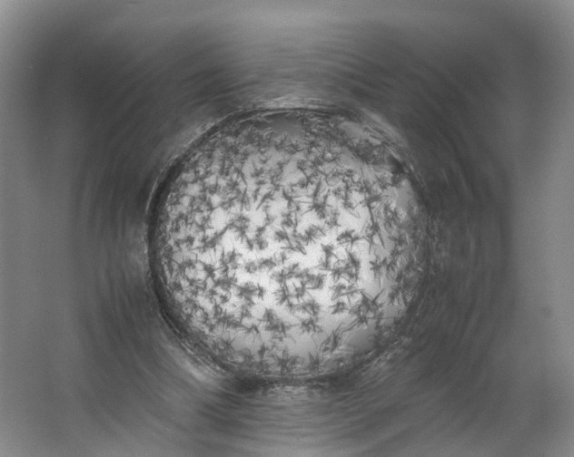 X0000062800298200601051119