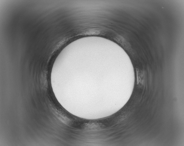 X0000062800300200601051119