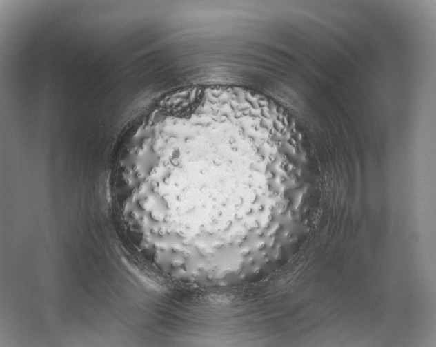 X0000062800302200601051119