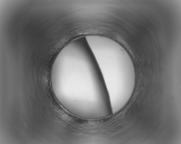 X0000062800305200601051119