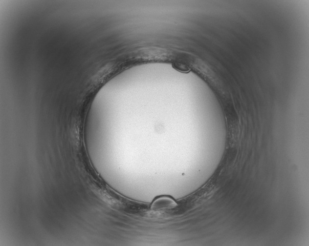 X0000062800309200601051118