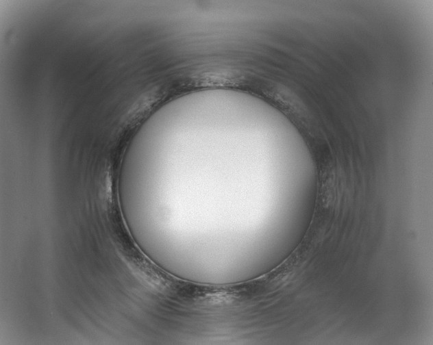 X0000062800310200601051118