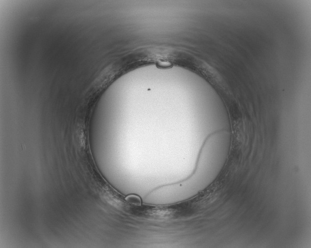 X0000062800313200601051118